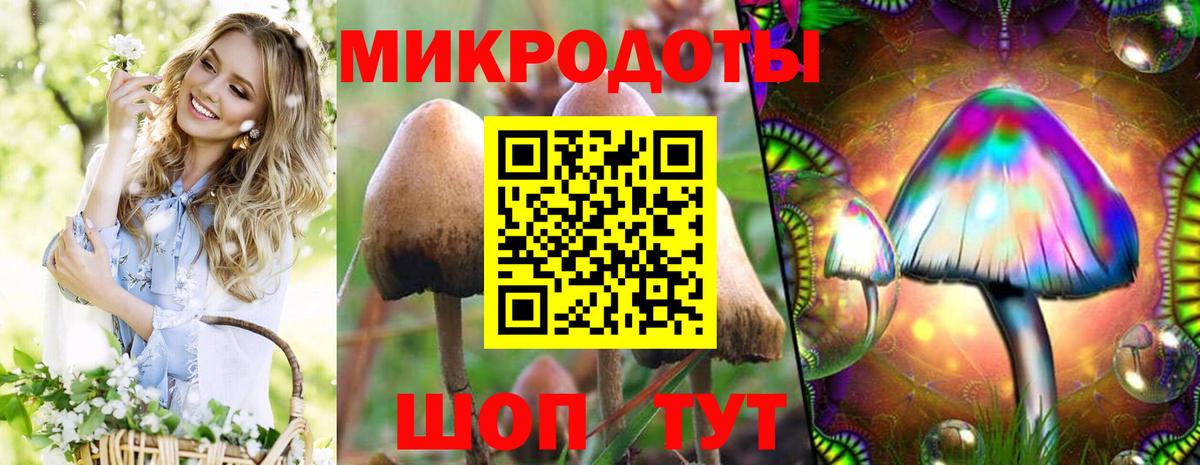 где купить наркотик  Галлюциногенные грибы GOLDEN TEACHER  Псилоцибиновые грибы прущие грибы  Вход с VPN  Каспийск 